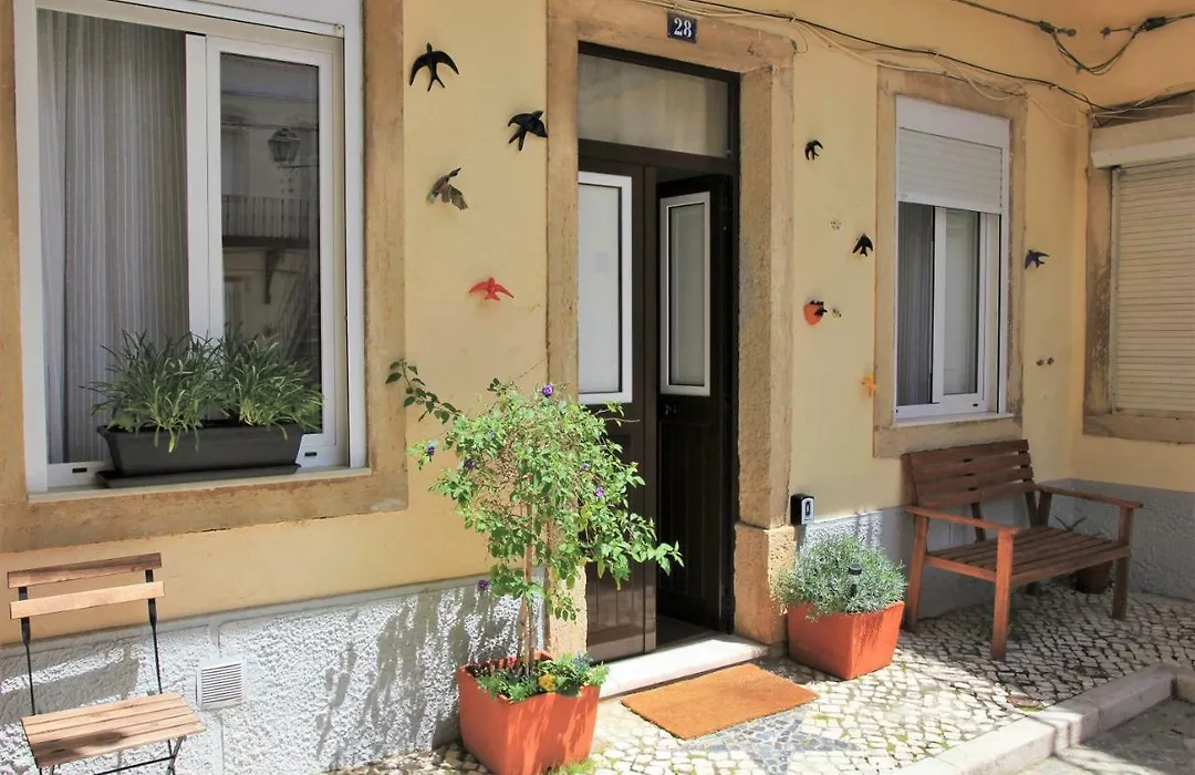 The Back Street Nest-1