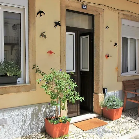 The Back Street Nest-3